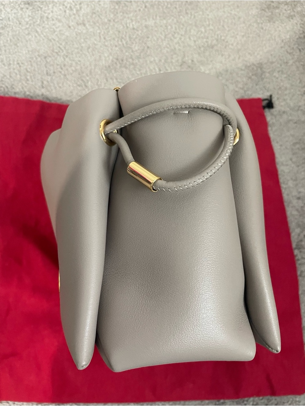 Carolina Herrera Leather Drawstring Crossbody Bucket Bag with Gold Hardware - Picture 5 of 12